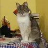 Отзыв от Дина Дубова